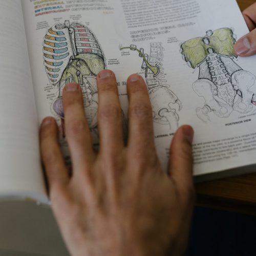 אוסטאופתיה קרניאלית וקרניוסקראל