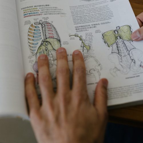 נוריאל הקליניקה לאוסטואופתיה מומחים לאוסטאופתיה בתינוקות וילדים | קליניקת מבוגרים